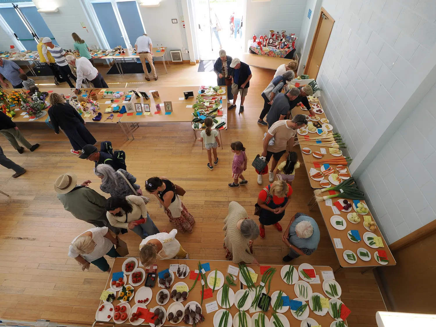 Community Competition Displays at Llanarthne Village Show